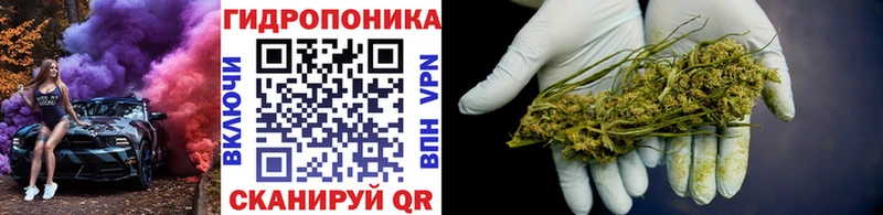 А ПВП Тамбов
