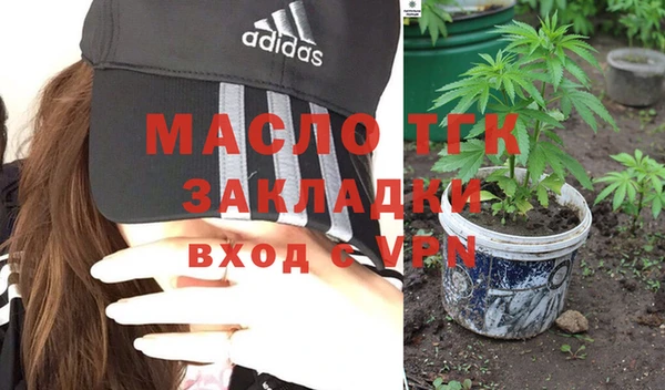 тгк Бородино