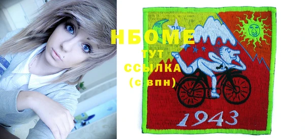 тгк Бородино