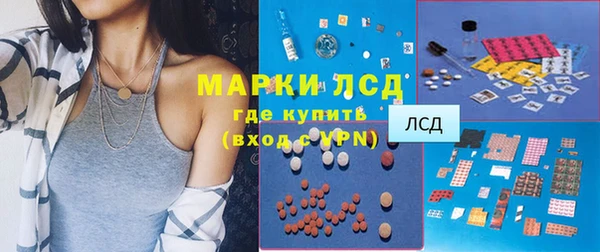 тгк Бородино