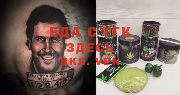 тгк Бородино