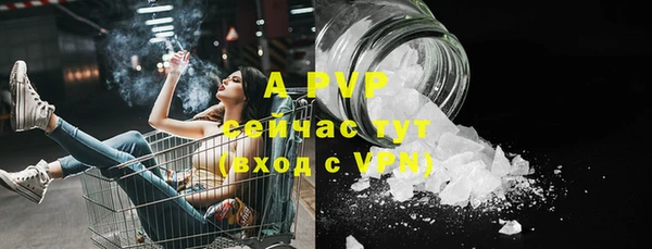 тгк Бородино